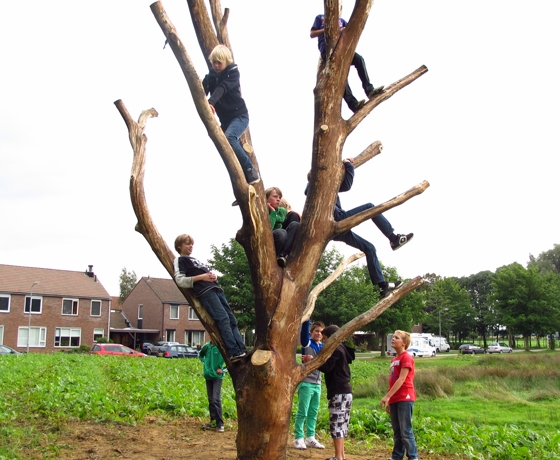 Cool Nature Oost Gelre 