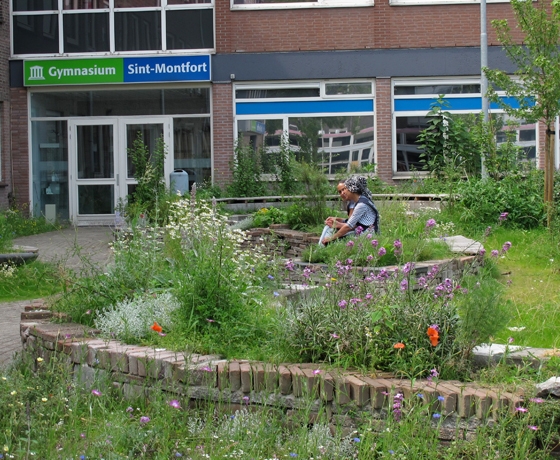 groen schoolplein